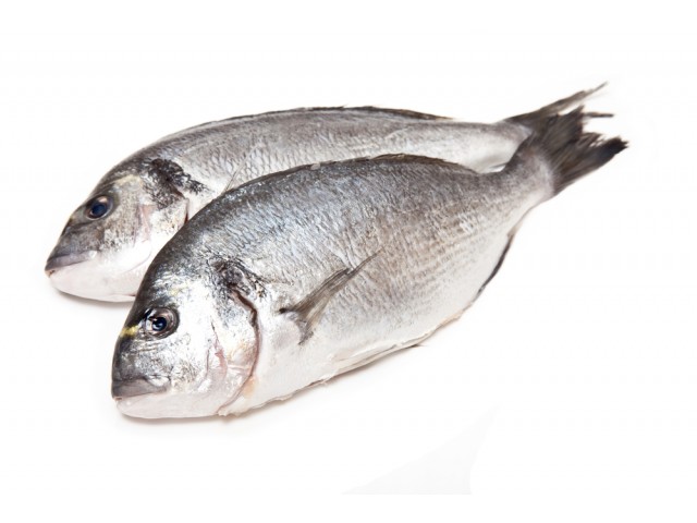 Costo E Prezzo Orata All Amo Valori Nutrizionali E Calorie Orata All Amo