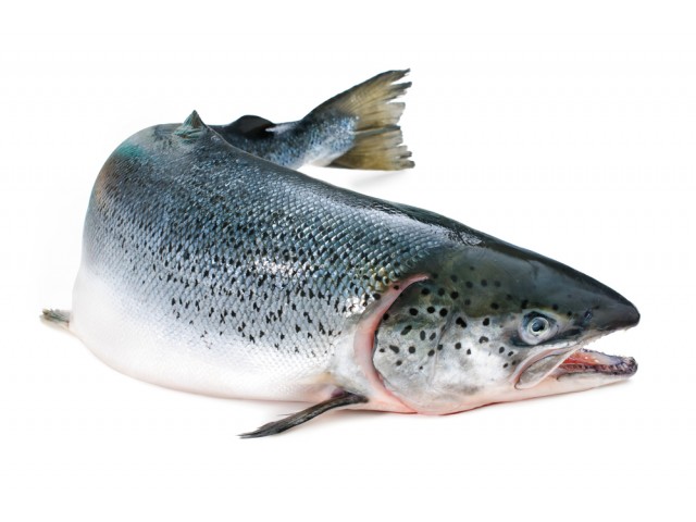 Costo E Prezzo Salmone Norvegia Valori Nutrizionali E Calorie Salmone Norvegia