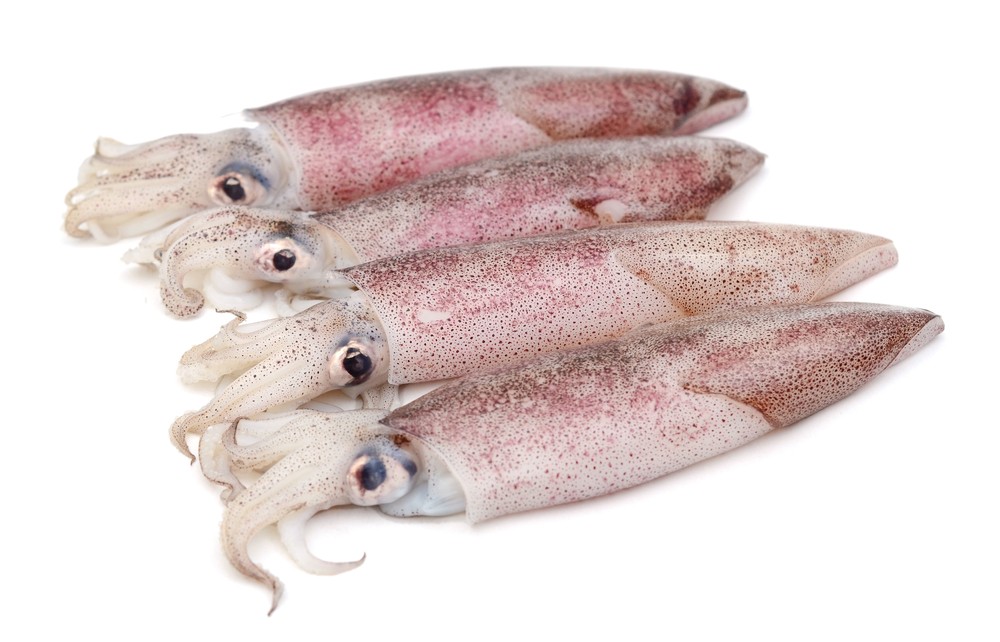 Calamari